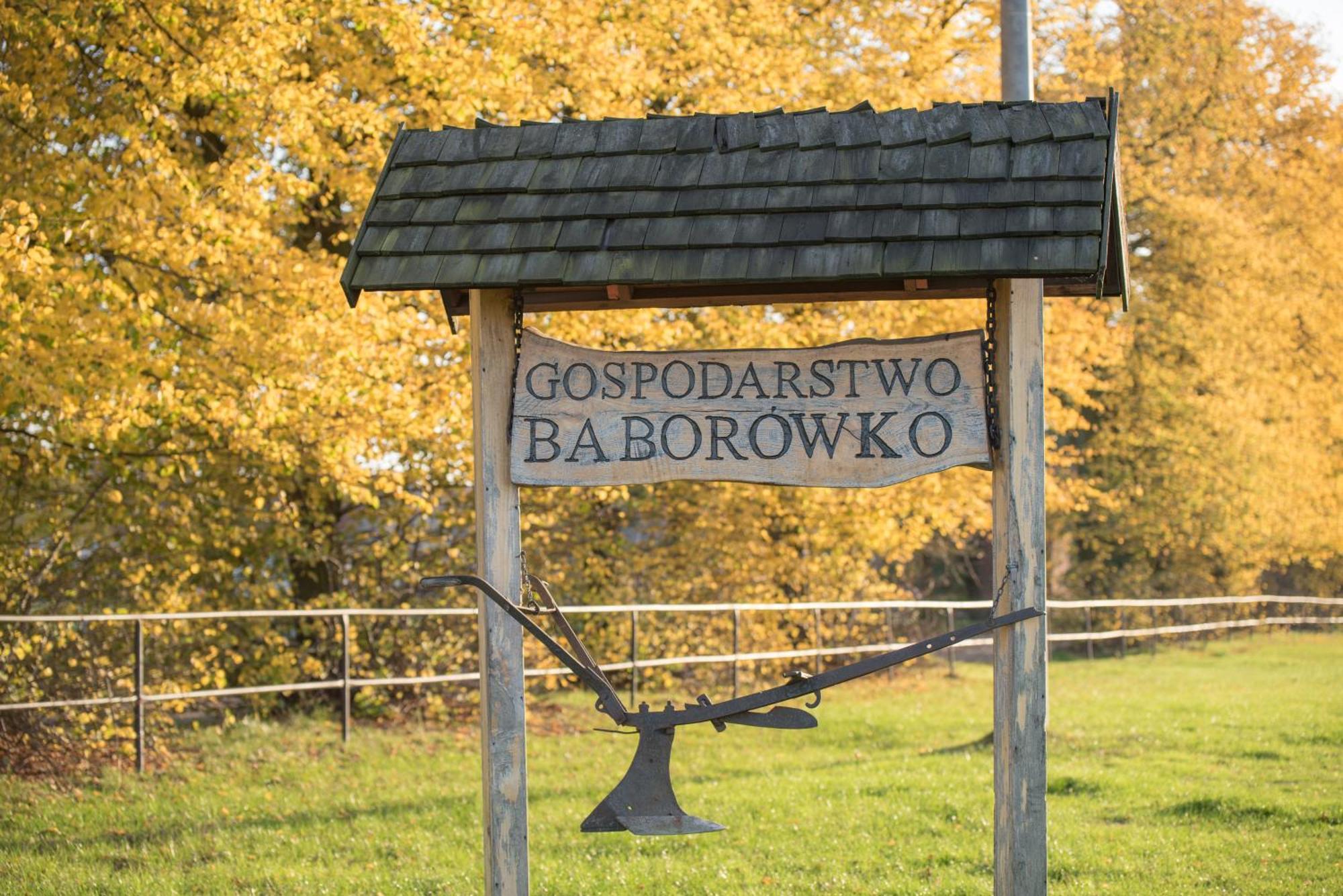 Palac Baborowko Шамотулы Экстерьер фото